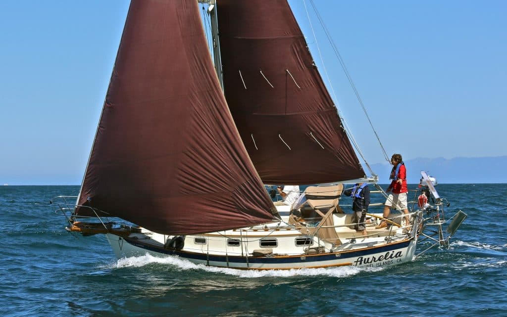 Mark Wilson — Aurelia, Pacific Seacraft Dana 24